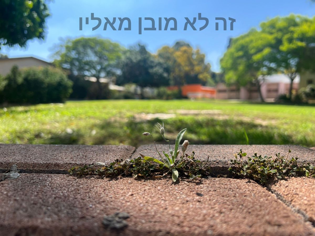 זה לא מובן מאליו, תוצר מסדנת חוסן לסגל מכללת ספיר