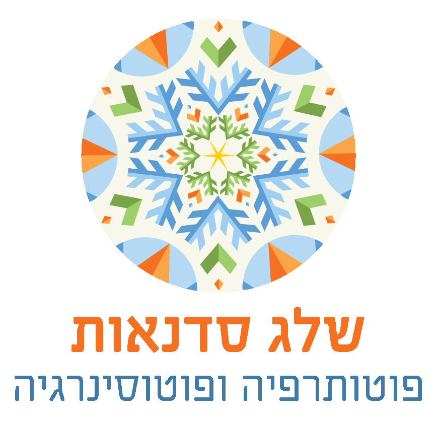 שלג סדנאות